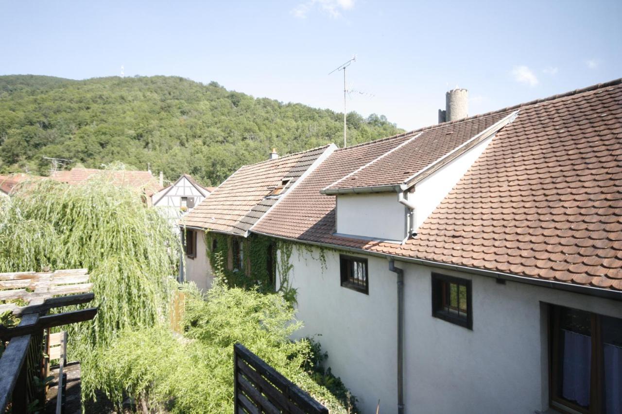 Appartement Le Keiler Kaysersberg-Vignoble Ngoại thất bức ảnh